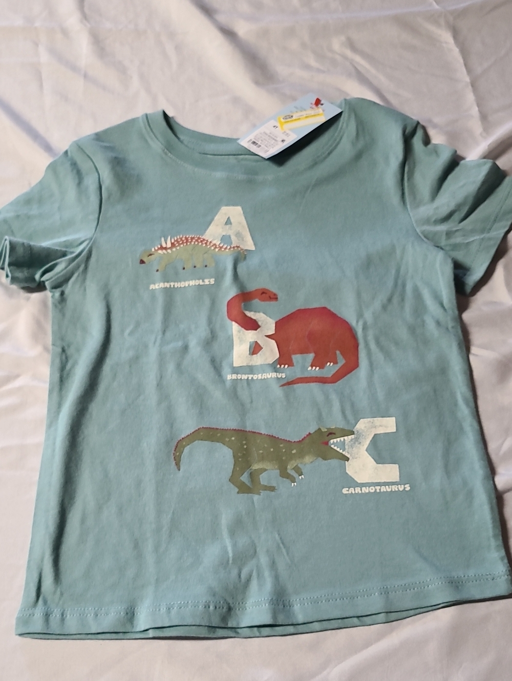 Cat & Jack Light Teal Dinosaur Tee